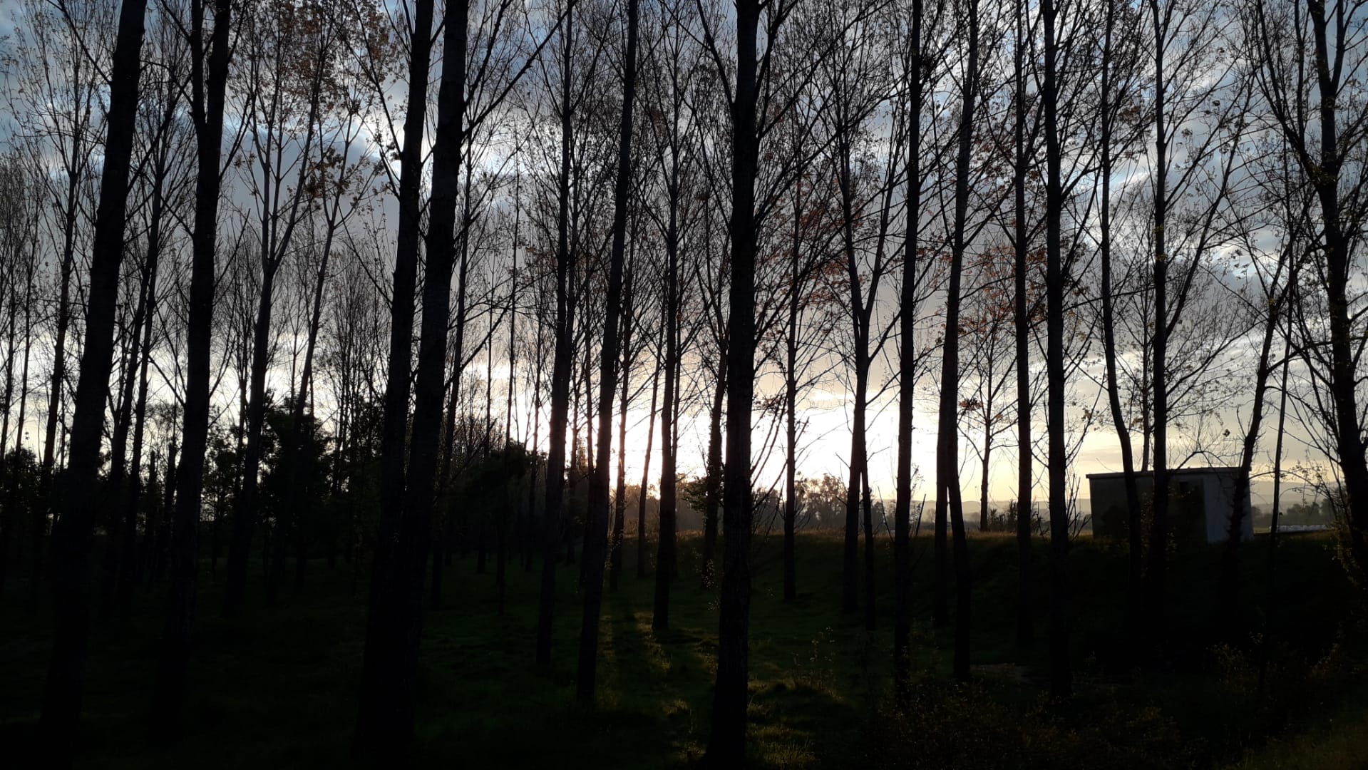 IMG-20200329-WA0000