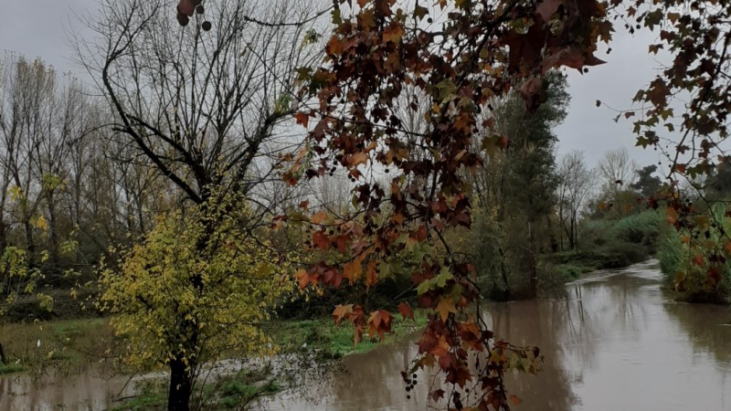 SJDC River Flood 17112022