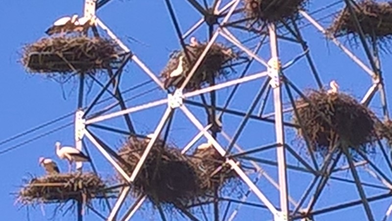 WP_20190504_10_24_04_Pro