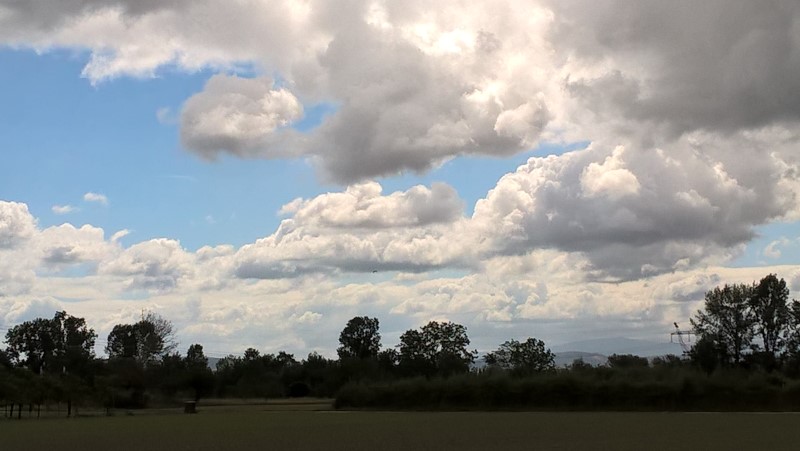 WP_20190518_10_44_37_Pro
