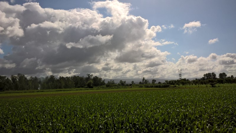 WP_20190607_09_49_25_Pro